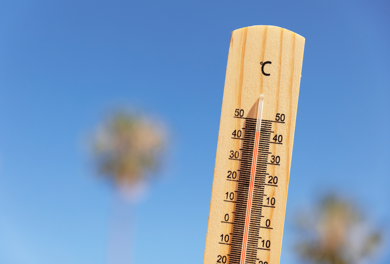 image Canicule et personnes vulnérables